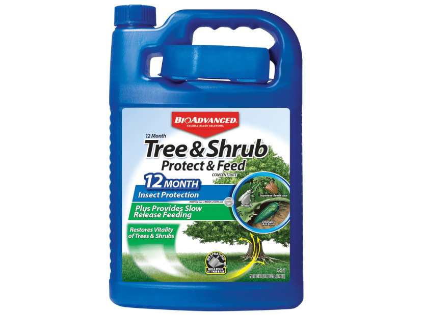BioAdvanced 12 Month Tree and Shrub Protect and Feed, Concentrate, 1 Gal, Insect Killer and Fertilizer & Plant Food