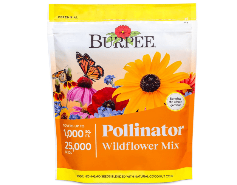 
Burpee Wildflower 25,000 Bulk, 1 Bag, 18 Varieties of Non-GMO Flower Seeds Pollinator Garden, Pollinator Mix