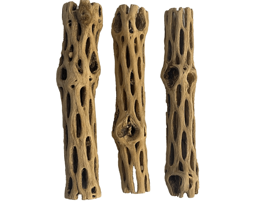 
Awesome Aquatic Natural Cholla/Choya Wood 3 Pieces 6” for Shrimp Habitat and Food Treat Hermit Crabs Plecos Aquarium Decoration Lowers pH Hideouts and Chew