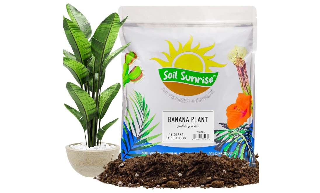 
Banana Tree Potting Soil Mix (12 Quarts) – Hand-Blended Indoor/Outdoor Mix for Healthy Banana Plants – Enhances Drainage & Root Support – Made in USA