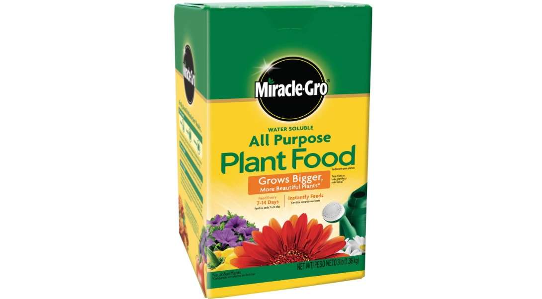  Miracle-Gro Water Soluble All Purpose Plant Food, Fertilizer for Indoor or Outdoor Flowers, Vegetables or Trees