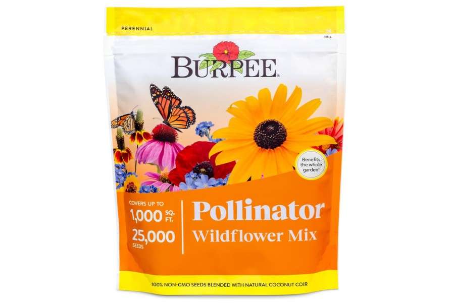 Burpee Wildflower 25,000 Bulk, 1 Bag, 18 Varieties of Non-GMO Flower Seeds Pollinator Garden, Pollinator Mix