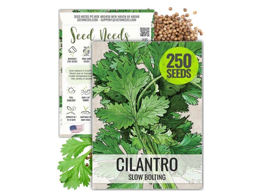 
Seed Needs, Cilantro Herb Seeds - 250 Heirloom Seeds for Planting Coriandrum sativum - Non-GMO & Untreated
