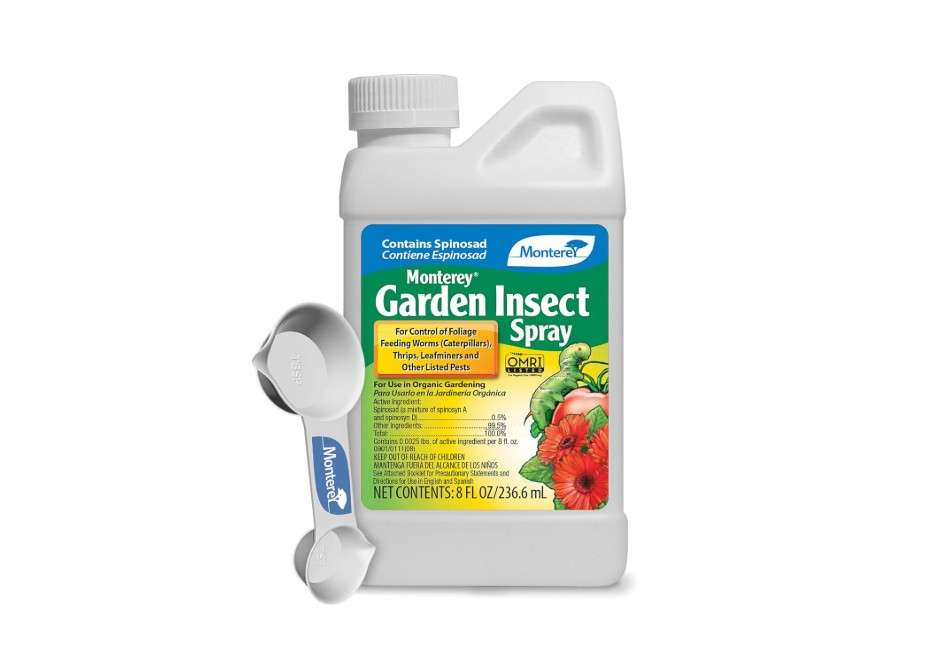 
Monterey - Spinosad Insecticide - Garden Insect Spray Concentrate for Control Insects Bundled with Measuring Spoon - 8 oz Concentrate
