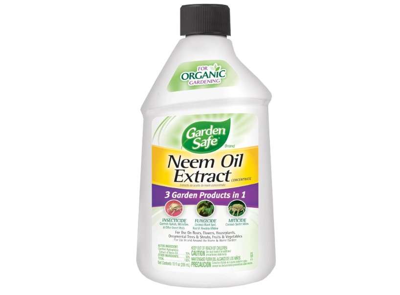 
Garden Safe Neem Oil Extract Concentrate, For Organic Gardening, Fungicide, Insecticide, Miticide, Neem Oil For Plants, 10 fl Ounce