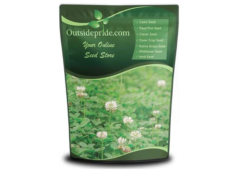  Outsidepride Perennial White Dutch Clover Seed - 5 lbs. Nitrocoated, Inoculated Clover Seeds for Lawn Alternative, Erosion Control, Food Plots, Ground Cover