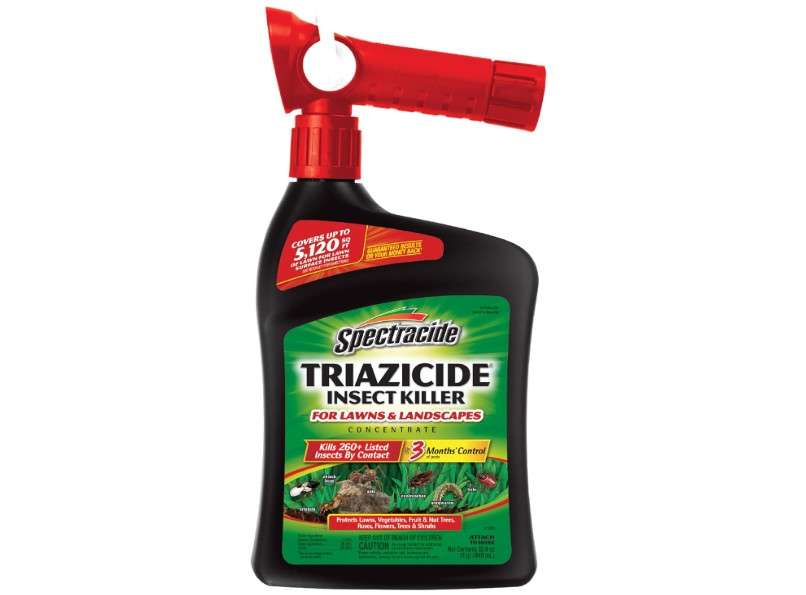  Spectracide Triazicide Insect Killer For Lawns & Landscapes Concentrate (Ready-To-Spray), Protects Lawns, Vegetables, Fruit & Nut Trees, Roses