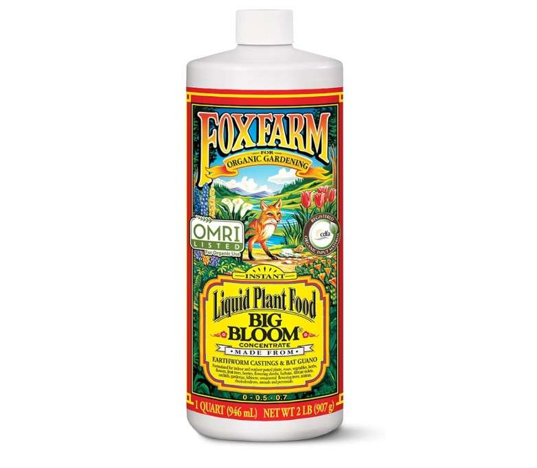 FoxFarm - Big Bloom Plant Food, Liquid Fertilizer Concentrate for Flowers, Fruits, and Vegetables, All Purpose Plant Fertilizer for Indoor & Outdoor.