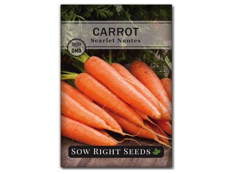 
Sow Right Seeds - Scarlet Nantes Carrot Seed for Planting - Non-GMO Heirloom Packet with Instructions to Plant a Home Vegetable Garden - Indoors or Outdoor