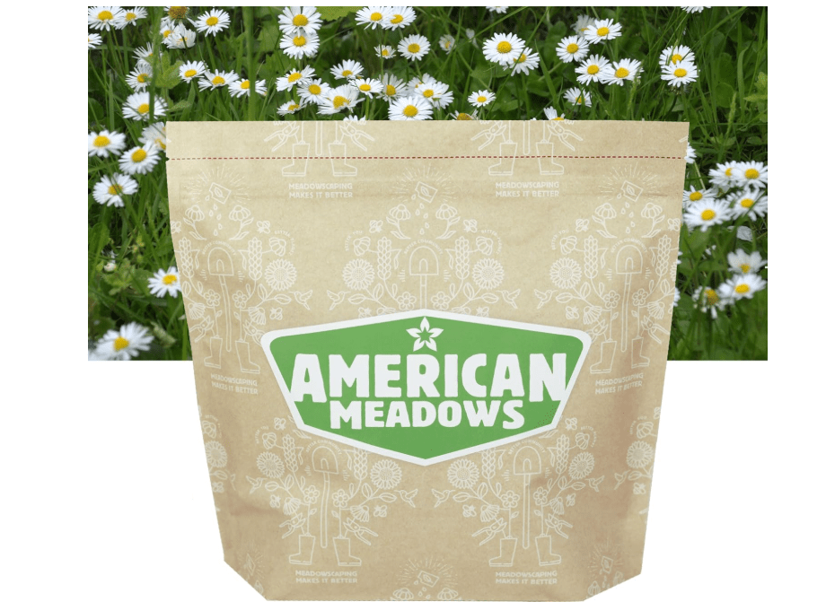 
American Meadows Alternative Lawn Wildflower Seed Mix - Specially Blended Lawn Alternative, Low Maintenance, Great Ground Cover, Water Saving, 