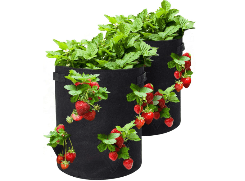  GOTGELIF Strawberry Grow Bags, 2 Pack 10 Gallon Strawberry Planter with 8 Side Grow Pockets, Breathable Non-Woven Fabric Reinforce Handle Plant Grow Bag