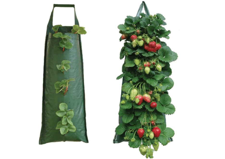  Nutley's Hanging Strawberry Growbag Planter