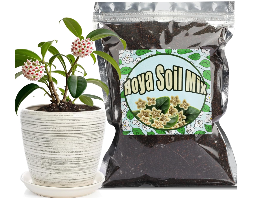 
Doter Potting Soil Mix for Hoya 10qt, Custom Hand Blended Mixture Suitable for Indoor/Outdoor Potted Fern Plant