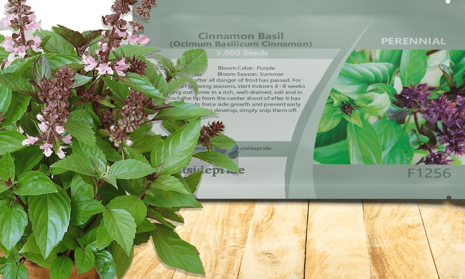 
Outsidepride Cinnamon Basil Seeds for Planting - 5000 Pcs Easy to Grow Annual Herb Garden Seeds with Aromatic & Flavorful Foliage for Containers
