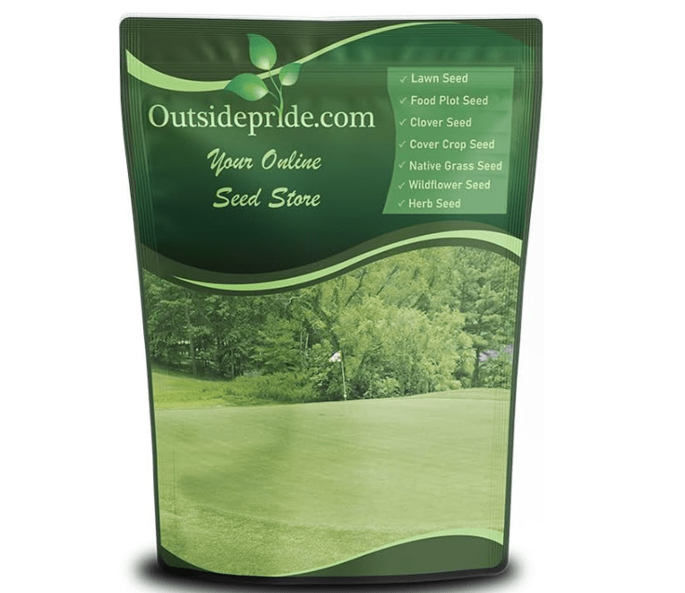 
Outsidepride Yukon Bermuda Grass Seed - 5 lbs Cold & High Traffic Tolerant, Premium Hybrid Bermuda Turf Grass Seeds for Lawn, Ideal Low Maintenance See