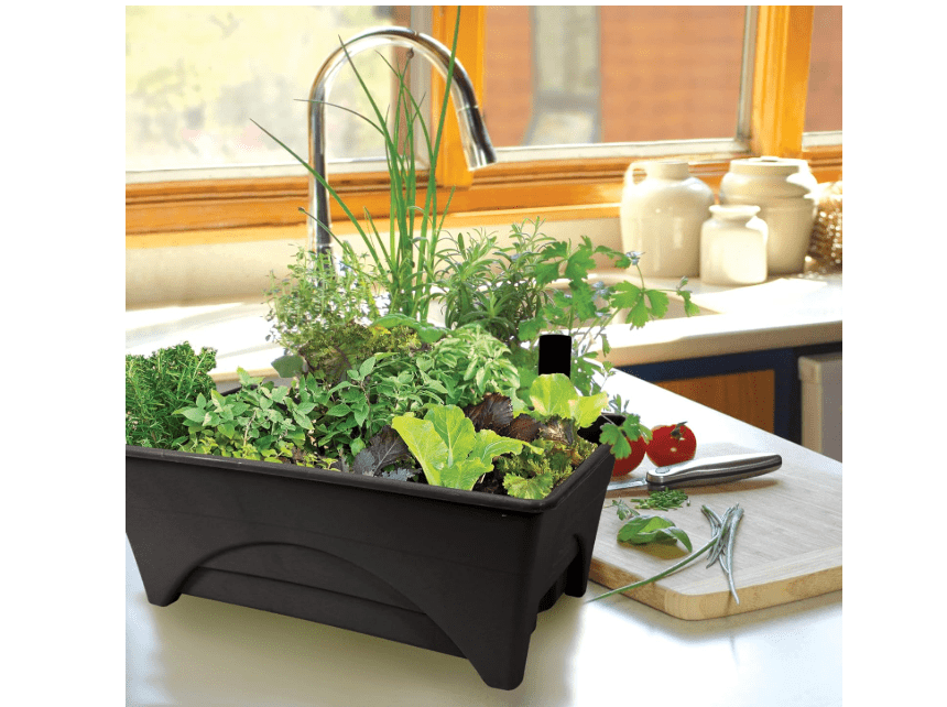  Emsco Group Start Pickin' Raised Bed Grow Box – Self Watering and Improved Aeration – Starter Box or Small Herb Garden Growing