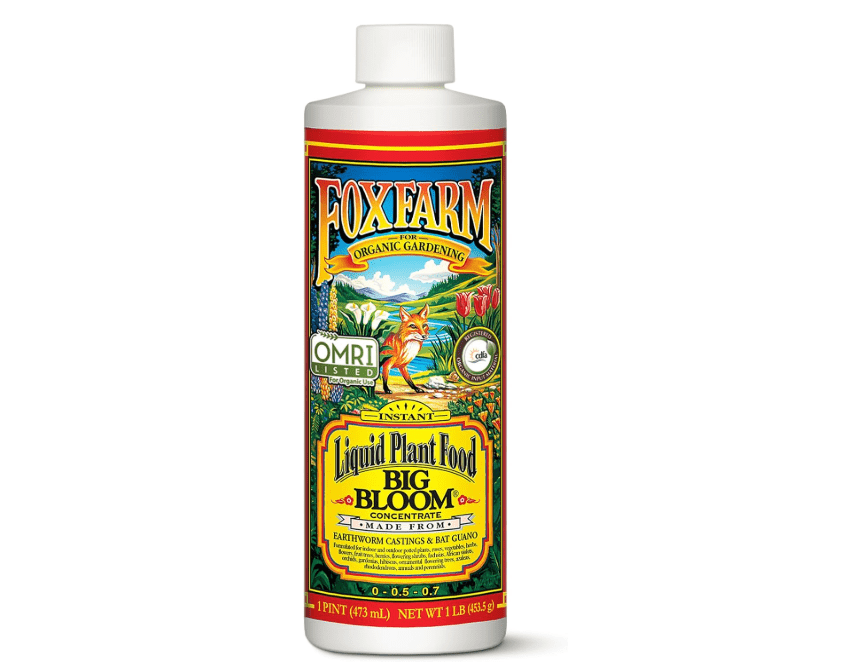 
FoxFarm - Big Bloom Plant Food, Liquid Fertilizer Concentrate for Flowers, Fruits, and Vegetables, All Purpose Plant Fertilizer for Indoor & Outdoor.