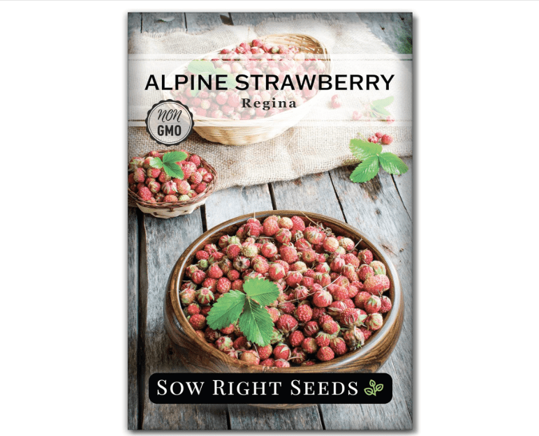 
Sow Right Seeds - Regina Alpine Strawberry Seeds for Planting - Non-GMO Heirloom Packet with Instructions to Plant & Grow an Home Vegetable Garden -...
Size:1