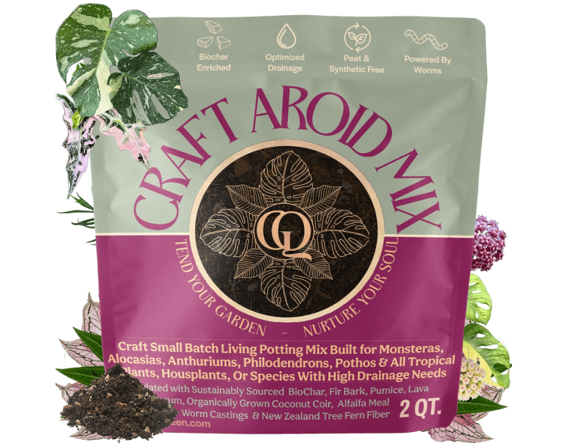 
Grow Queen Craft Aroid Potting Mix- Elite Alocasia, Philodendron, Monstera Soil Mix, Chunky, Well Draining Potting Soil for Indoor Plants, All Tropical..