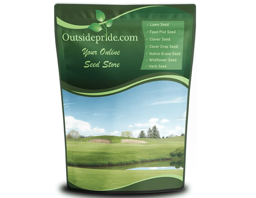 
Outsidepride Royal TXD Bermuda Grass Seed Blend - 1 lb. Warm Season, Fast Growing Turf Grass Seeds: Heat & Drought Tolerant, Ideal for Home Lawns 