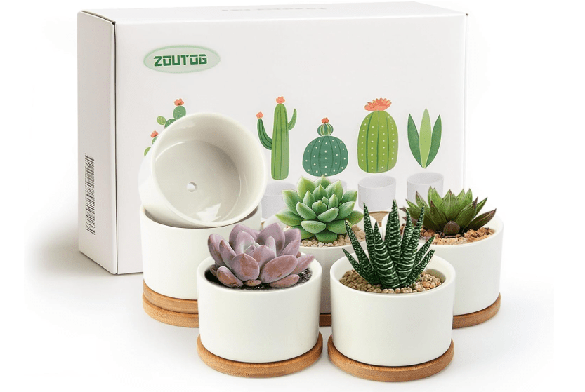  ZOUTOG Succulent Pots 3.1 Inch,6 Pack Succulent Planters,Small Pots for Plants with Drainage and Tray,White Ceramic Flower Planters for Indoor Plants,Home