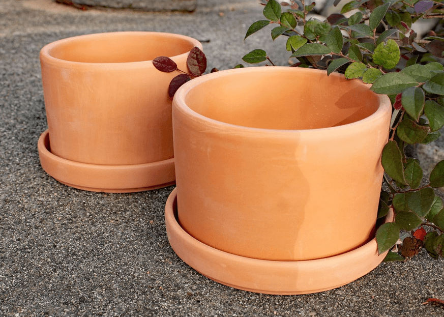 Goodman and Wife Natural Terracotta Round Fat Walled Garden Planters with Individual Trays. 