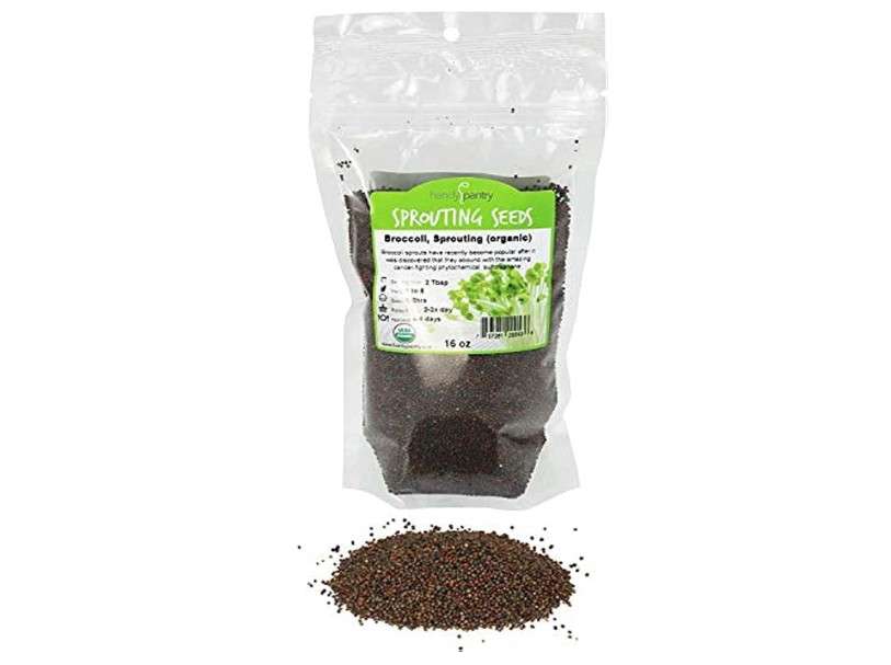  Handy Pantry Broccoli Sprouts Seeds Organic- 1 Lb - Non-GMO Organic Broccoli Seeds for Sprouting, Microgreens Sprouting Seeds, Contain Sulforaphane