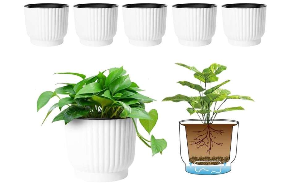
T4U 4.5 Inch Plant Pots Self Watering, 6 Pack African Violet Pots, Small Plant Pots for Plants, Small Indoor Plant Pot, Self Watering Planter for African