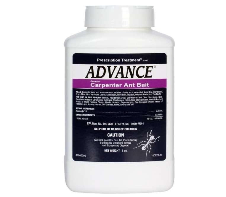 BASF Advance Carpenter Ant Bait Granules, Ready to Use Indoor or Outdoor, Attracts, Kills and Controls Ants, 8 oz