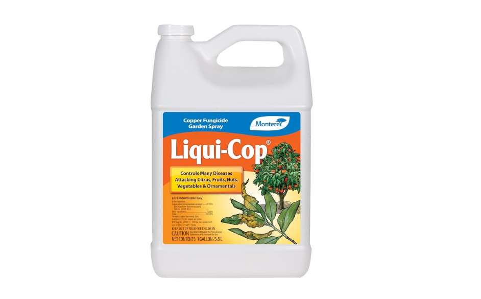 
Monterey Liqui-Cop - Copper Fungicide Garden Spray for Citrus and Fruit & Nut Trees - 1 Gallon