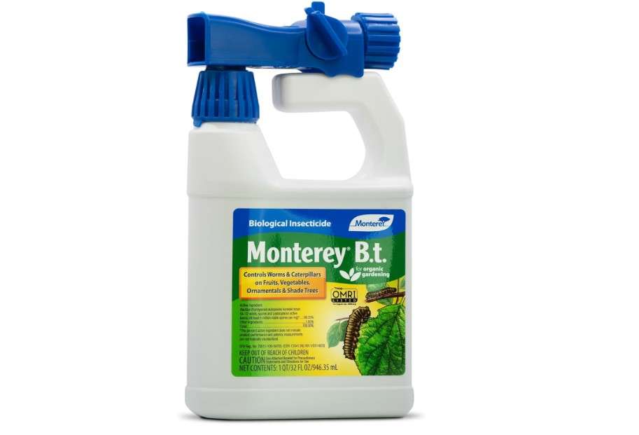  Monterey BT - Ready to Spray Bacillus Thuringiensis for Organic Worm and Caterpillar Control - 31oz