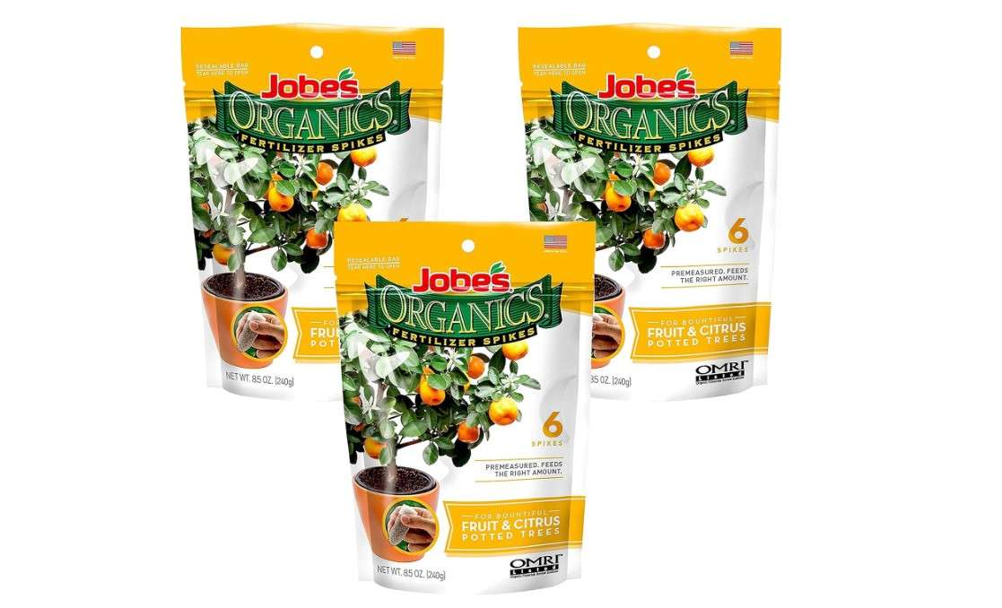  Jobe’s Organics Fruit & Citrus Tree Fertilizer Spikes, 3-5-5 Time Release Fertilizer for all Container or Indoor Fruit Trees, 6 Spikes per Package (3)