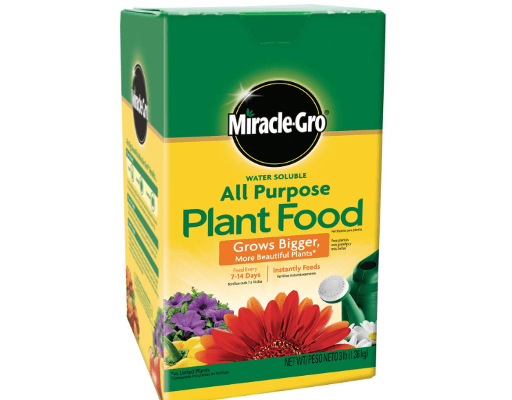 Miracle-Gro Water Soluble All Purpose Plant Food, Fertilizer for Indoor or Outdoor Flowers, Vegetables o