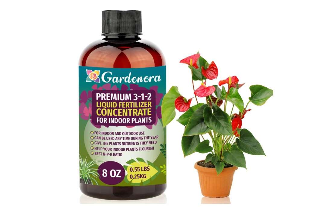  GARDENERA Premium 3-1-2 All Purpose Liquid Fertilizer Consentrate for All Indoor Plants & Flowers - Promotes Biomass Growth and Vibrant Leaf Color