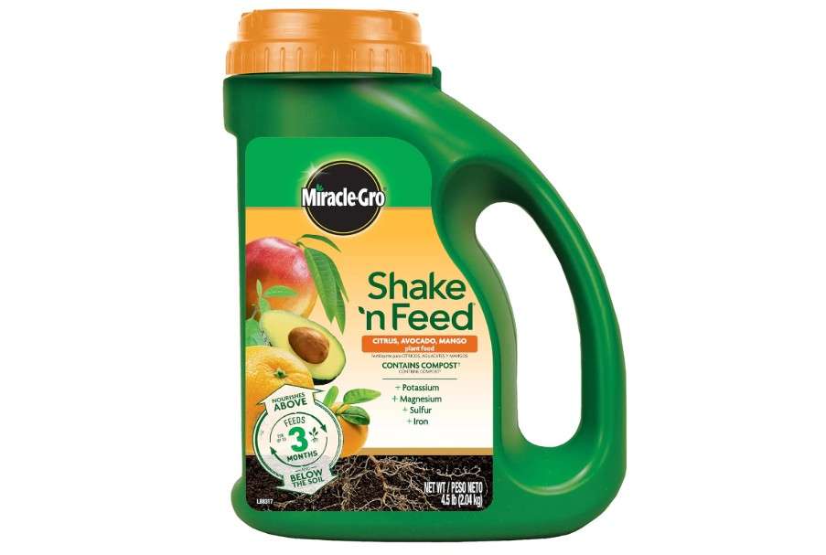  Miracle-Gro Shake 'N Feed Citrus, Avocado, Mango Plant Food, For Container and In-Ground Plants, Citrus Trees, Avocado Trees and Mango Trees, 4.5 lbs.