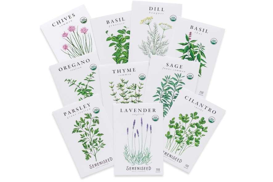  Sereniseed Certified Organic Herb Seeds (10-Pack) – Non GMO, Heirloom – Seed Starting Video - Basil, Cilantro, Oregano, Thyme, Parsley, Lavender, Chives,
