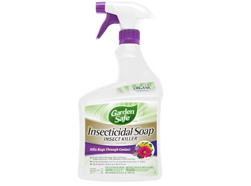 
Garden Safe 32 oz. Insecticidal Soap Ready-to-Use, 1 Count (Pack of 1)
