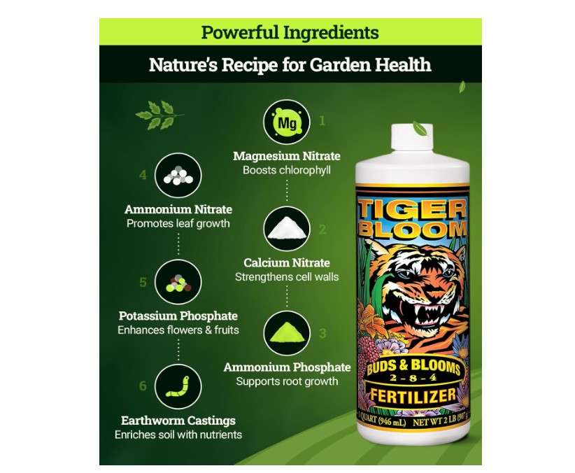  FoxFarm Tiger Bloom Liquid Fertilizer Concentrate - Fast Acting Formula for Vicious Growth with Phosphorus - Encourages Fruit, Flower & Bud Development