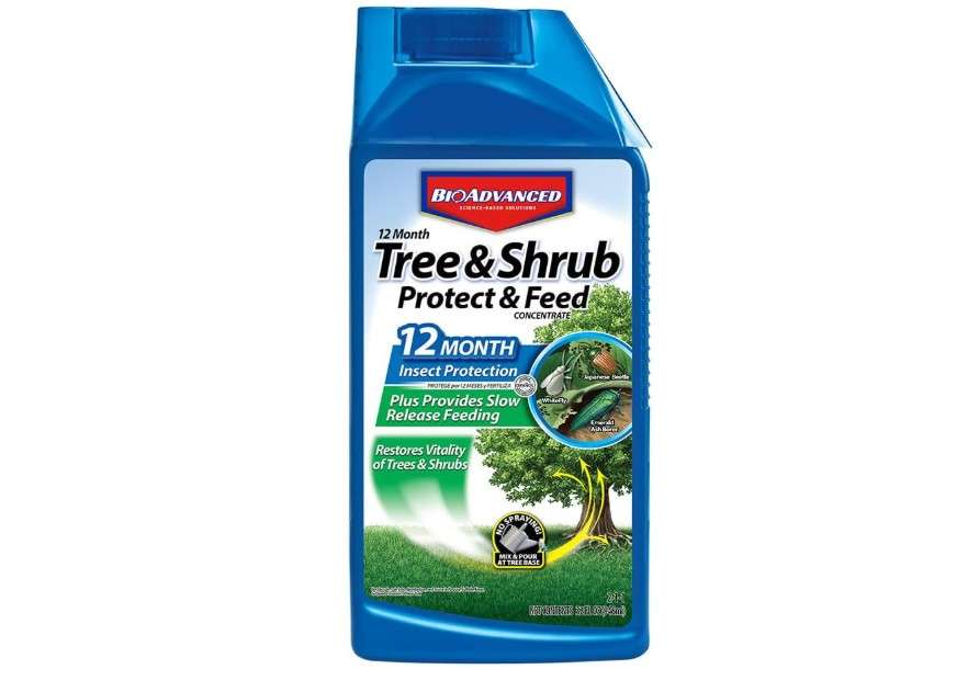 BioAdvanced 12 Month Tree and Shrub Protect and Feed, Concentrate, 32 Oz, Insect Killer and Fertilizer & Plant Food