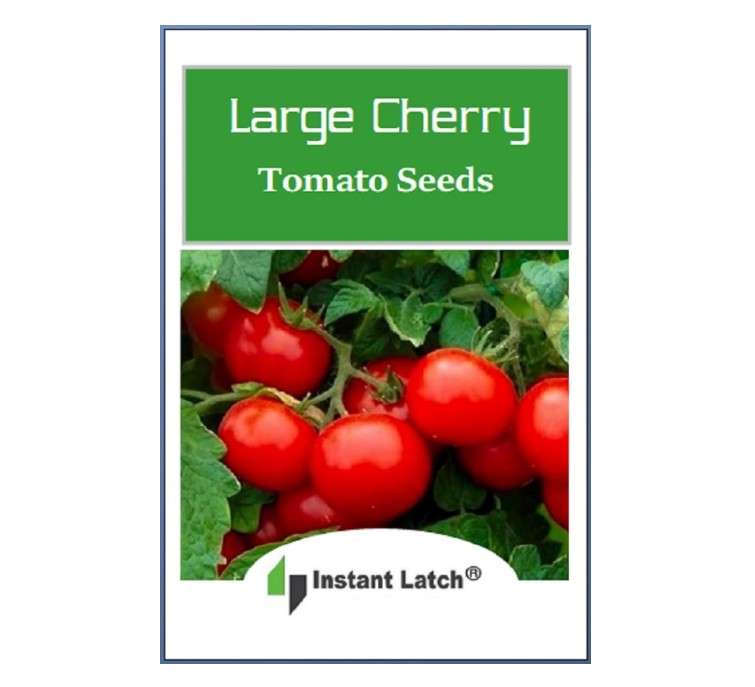  250 Cherry Tomato Seeds Large | Non-GMO | Fresh Garden Seeds