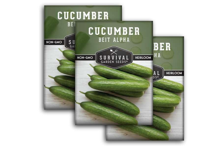  Beit Alpha Cucumber Seeds for Planting | Crisp Burpless Variety with Smooth Skin – Heirloom, Non‑GMO – Survival Garden Seeds (3 Packs)