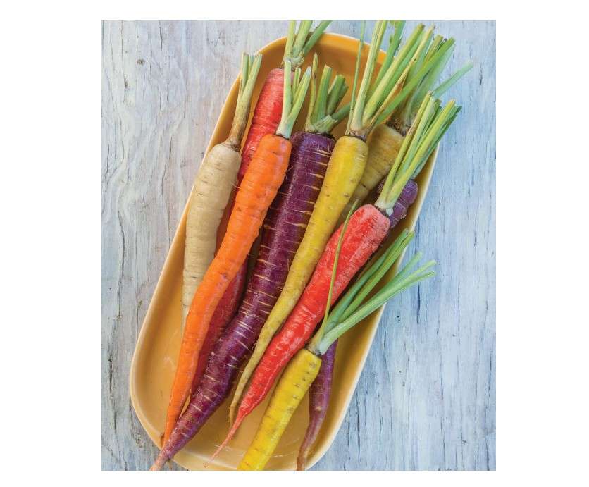
Burpee Kaleidoscope Blend Carrot Seeds | 1500 Non-GMO Seeds | Rainbow Carrot Seeds for Planting | Vegetable Seeds for Planting Home Garden