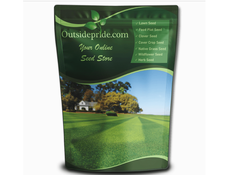 
Outsidepride Maya (Blackjack II) Bermuda Grass Seed - 5 lbs Warm Season, Drought Tolerant, Fast Growing, Fine-Textured Bermuda Grass Seeds for Lawn, Park
