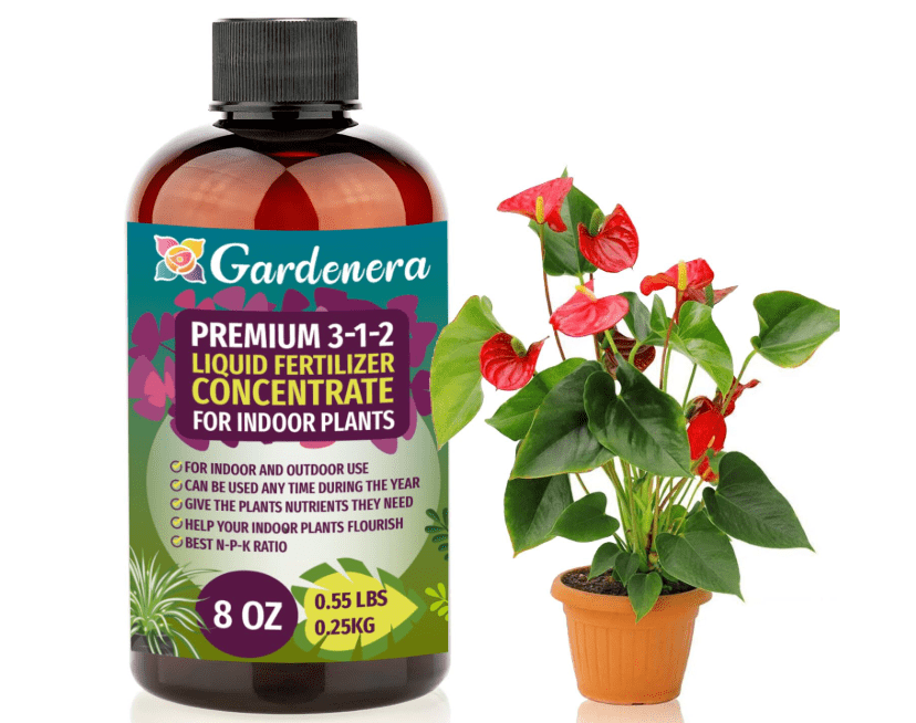 
GARDENERA Premium 3-1-2 All Purpose Liquid Fertilizer Consentrate for All Indoor Plants & Flowers - Promotes Biomass Growth and Vibrant Leaf Color 