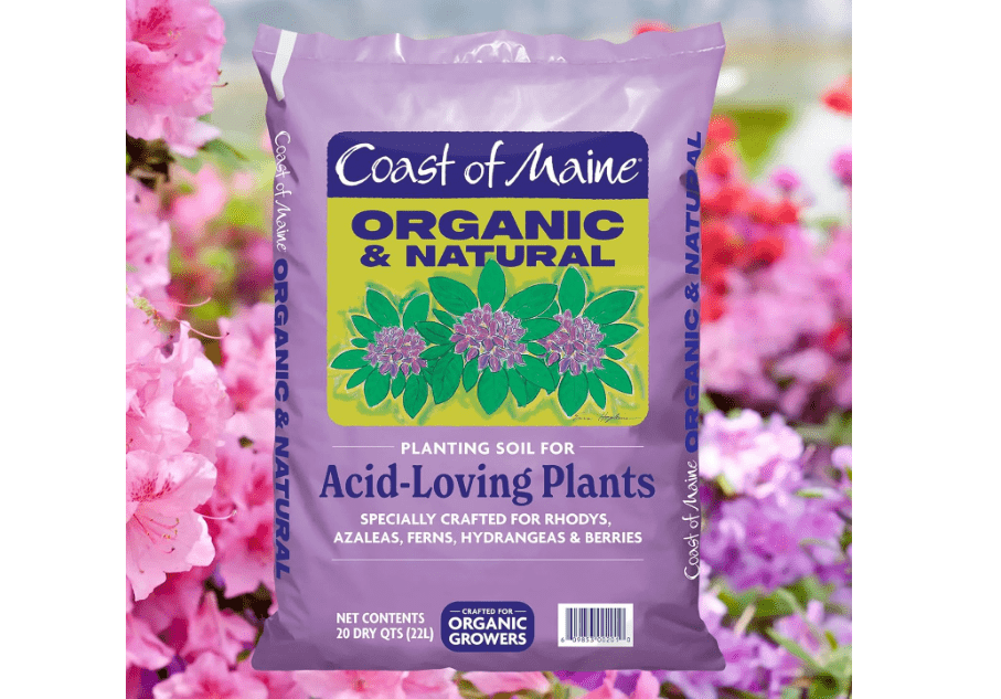 
Coast of Maine, 20qt (Pack of 6) Organic and Natural Planting Soil for Acid-Loving Plants - Rhodys, Azaleas, Ferns, 