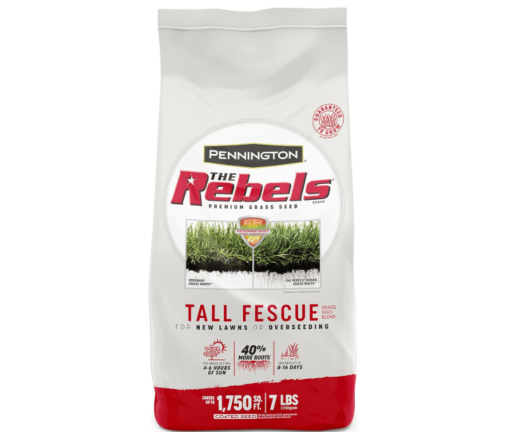 
Pennington The Rebels Tall Fescue Grass Seed M