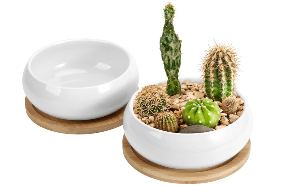 ZOUTOG 2 Pack Succulent Pots, 6 inch Ceramic Planters for Indoor Plants with Bamboo Tray, Pots with Drainage, Seeds＆ Plants Not Included
