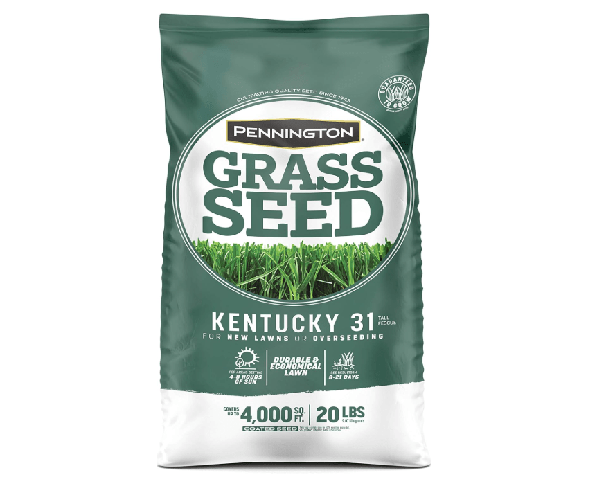 
Pennington Kentucky 31 Tall Fescue Grass Seed 