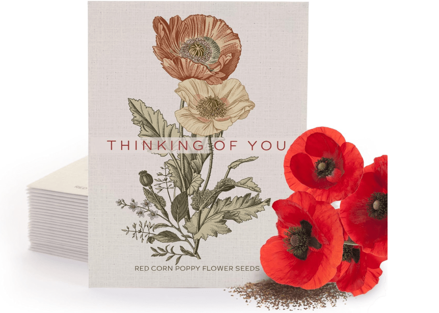 Bentley Classic Vintage Art Poppy Packets, Thinking of You Flanders Corn Seeds, Thoughtful Illustrated Flower Design, Eco-Friendly Hand Out, 