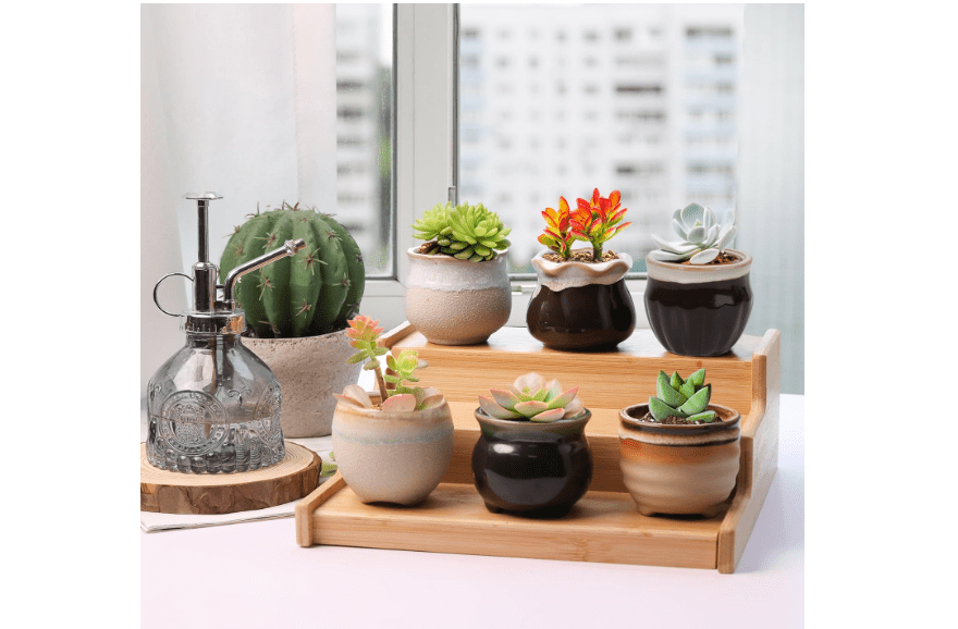  T4U Mini Ceramic Succulent Pots with Drainage - Set of 6, Tiny Pots for Plants, Home and Office Decor, Plant Lover Gifts for Women